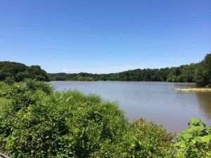 Fun Things To Do At Lake Accotink Park In Springfield VA