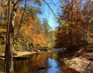 Explore Prince William Forest Park in Northern Virginia