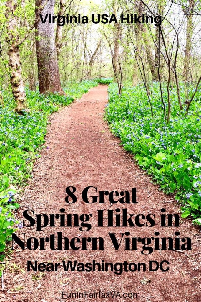 8 Great Spring Hikes in Northern Virginia Near Washington DC