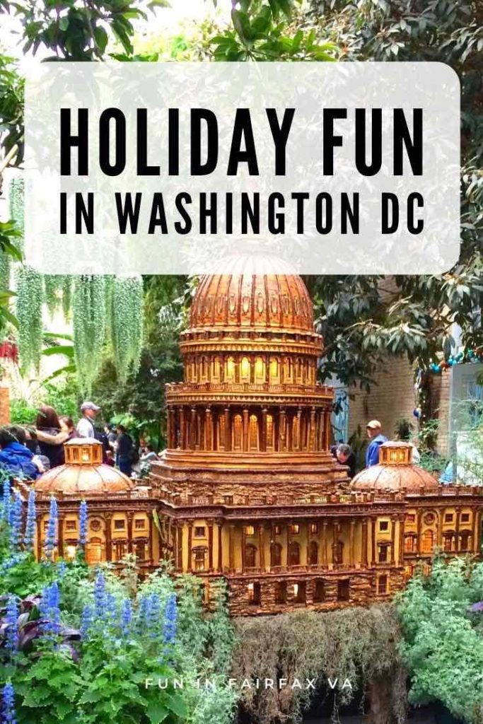 11 Fun Free Things to Do on a Washington DC Holiday Visit