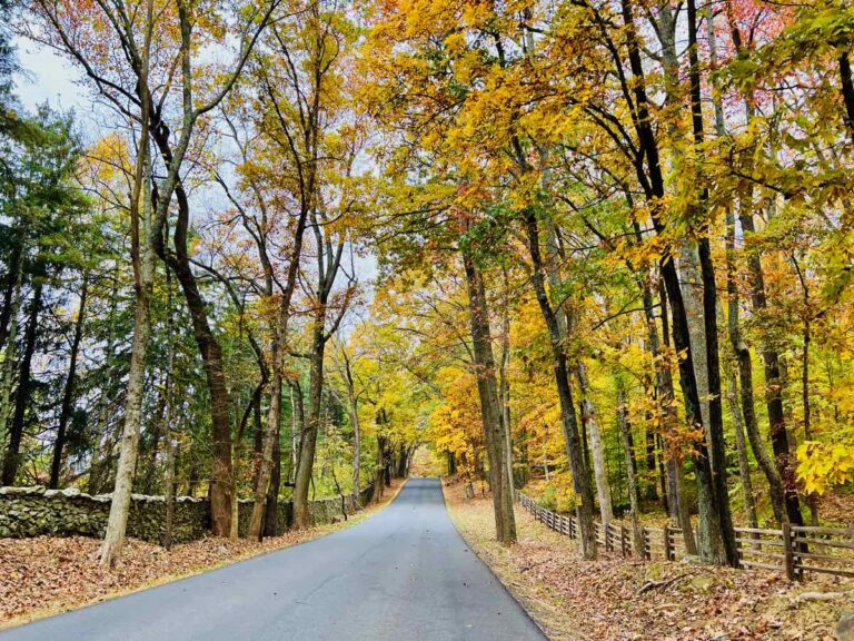 8 Great Scenic Drives in Northern Virginia Near DC