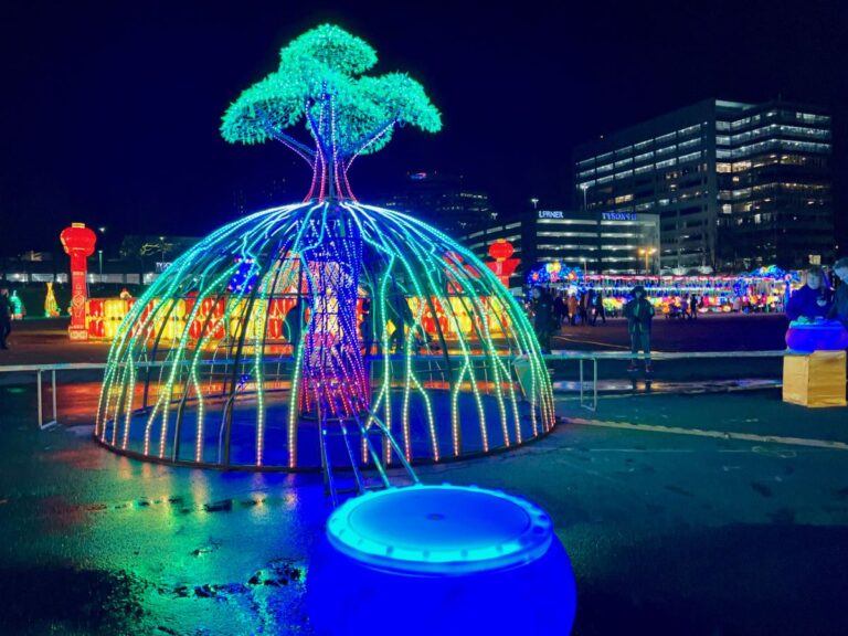 New DC Winter Lantern Festival Lights Up Northern Virginia